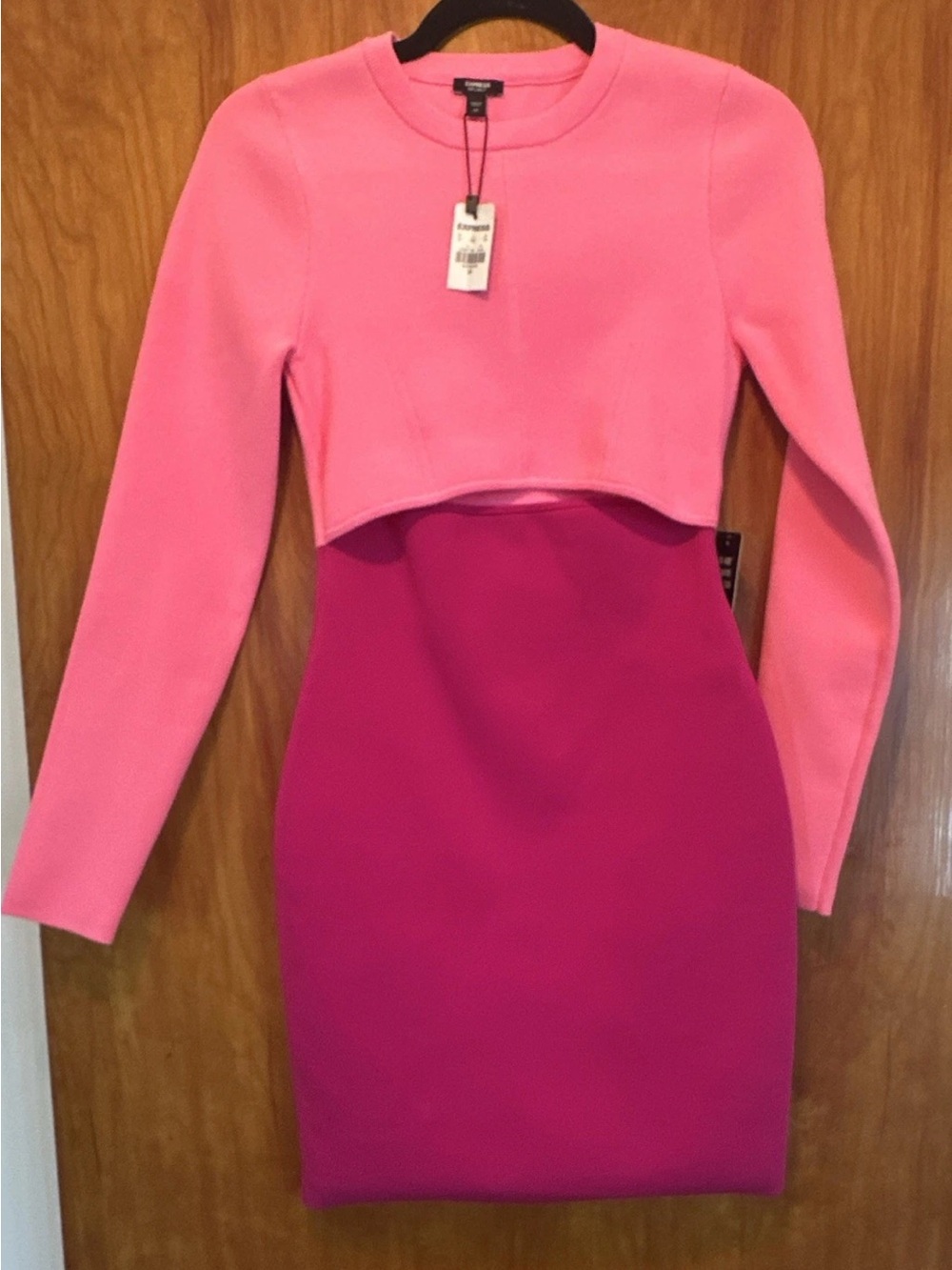 Express Two-Tone Pink Long Sleeve Bodycon Dress